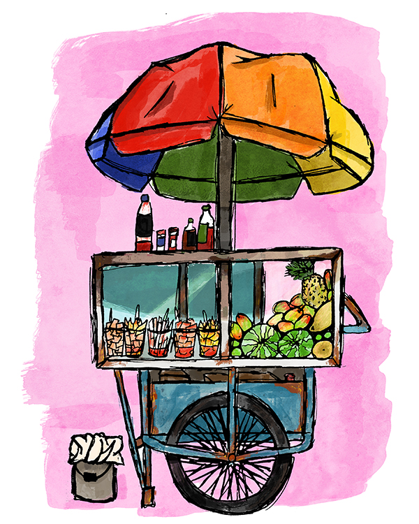 carrito